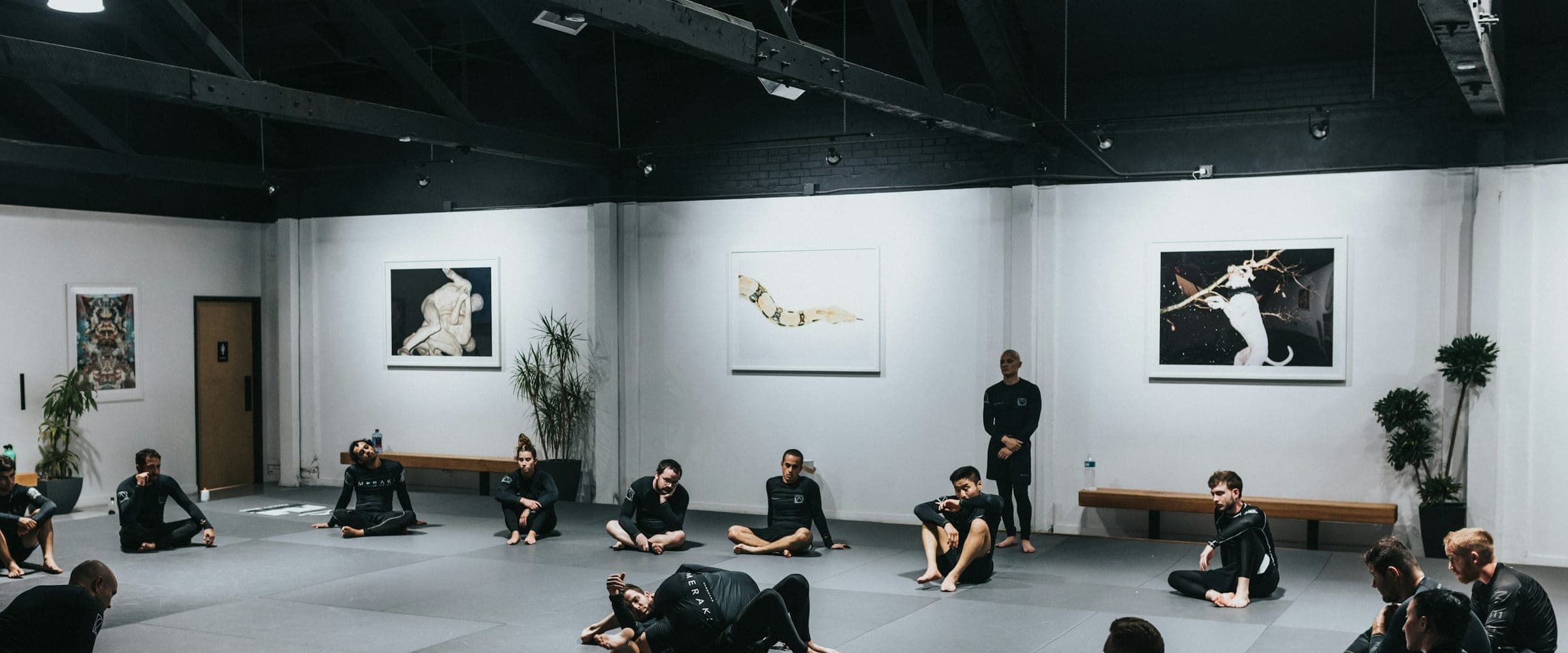 Turma adulta de jiu-jitsu aquecendo no tatame de uma academia com paredes brancas